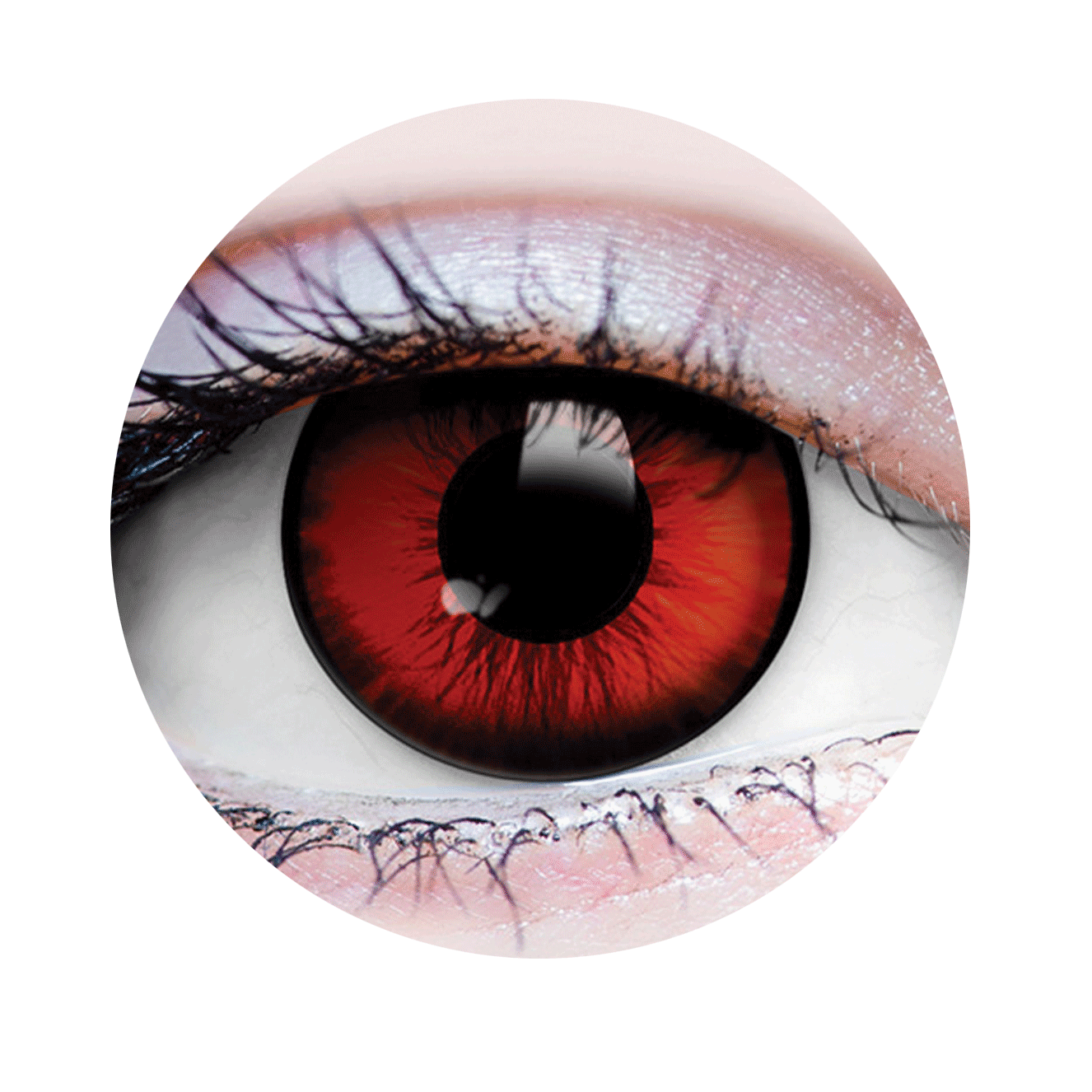 Primal Contact Lenses - Dracula I